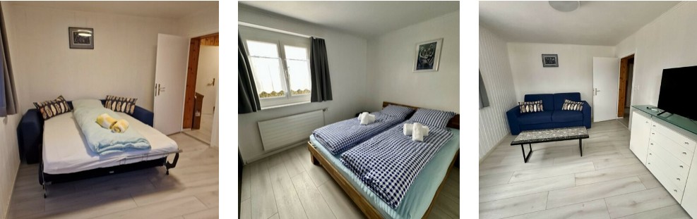wohnung wallis mit hund mieten 